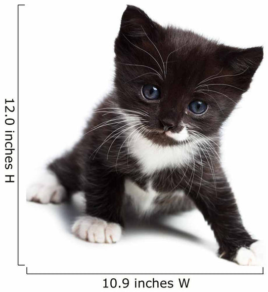 Kitten Wall Decal