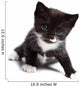 Kitten Wall Decal