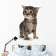 Cute Tabby Kitten Standing on White Wall Decal