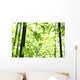 Bamboo Wall Mural