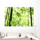 Bamboo Wall Mural