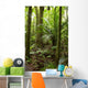 Forest Wall Mural