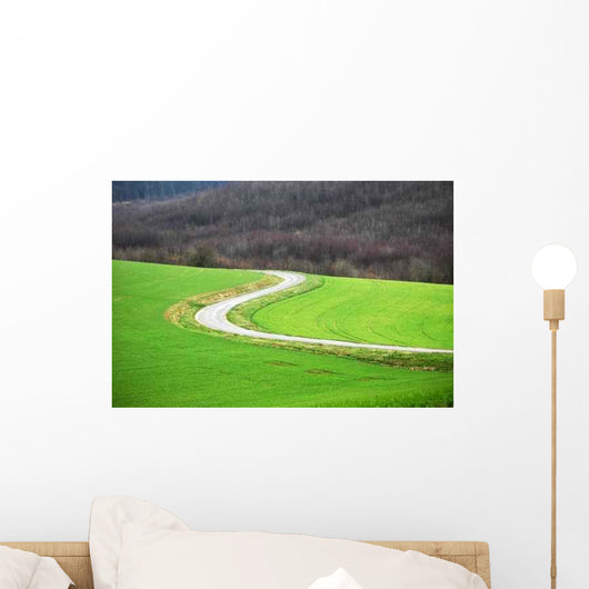 Route Sinueuse Wall Decal