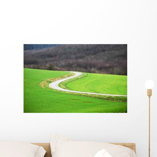 Route Sinueuse Wall Decal