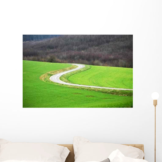 Route Sinueuse Wall Decal