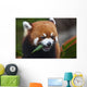 Red Panda or Shining Wall Decal