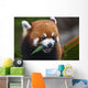Red Panda or Shining Wall Decal