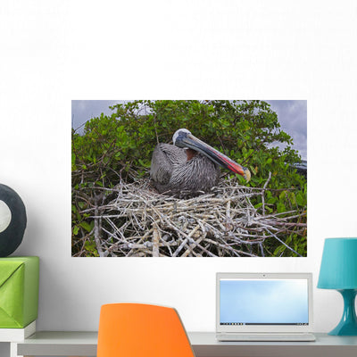 Brown Pelican Sitting It's Wall Mural shown on a wall