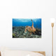 A hawksbill turtle at Turtle Alley Wall Mural