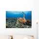 A hawksbill turtle at Turtle Alley Wall Mural