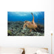 A hawksbill turtle at Turtle Alley Wall Mural