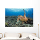 A hawksbill turtle at Turtle Alley Wall Mural