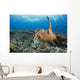 A hawksbill turtle at Turtle Alley Wall Mural