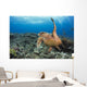 A hawksbill turtle at Turtle Alley Wall Mural