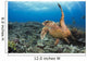 A hawksbill turtle at Turtle Alley Wall Mural
