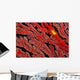 A yellow gorgonian crab at night on its host, a gorgonian coral fan Wall Mural