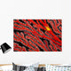 A yellow gorgonian crab at night on its host, a gorgonian coral fan Wall Mural