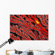A yellow gorgonian crab at night on its host, a gorgonian coral fan Wall Mural