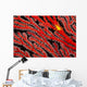 A yellow gorgonian crab at night on its host, a gorgonian coral fan Wall Mural