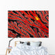 A yellow gorgonian crab at night on its host, a gorgonian coral fan Wall Mural