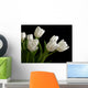 white tulips on black background Wall Mural
