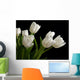 white tulips on black background Wall Mural