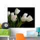 white tulips on black background Wall Mural
