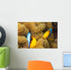 These two orange-fin anemonefish are pictured hiding Wall Mural