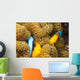 These two orange-fin anemonefish are pictured hiding Wall Mural