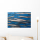 Portion School Heller's Barracuda Wall Decal