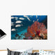 Alconarian and Gorgonian Coral Wall Decal2
