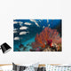 Alconarian and Gorgonian Coral Wall Decal2