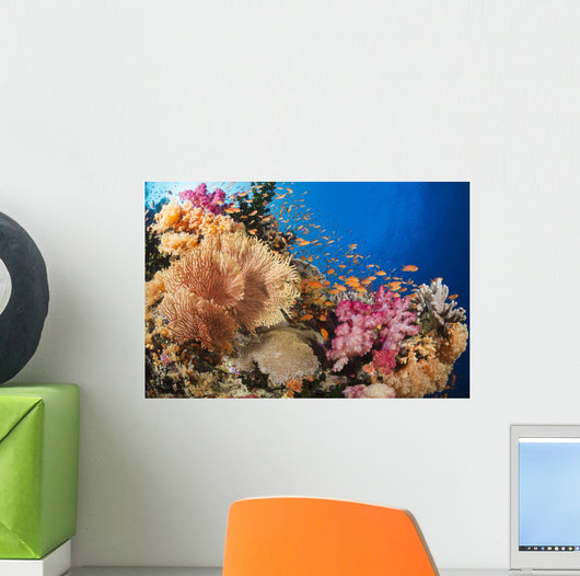 Alconarian and Gorgonian Coral Wall Decal 1