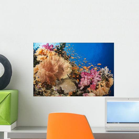 Alconarian and Gorgonian Coral Wall Decal 1