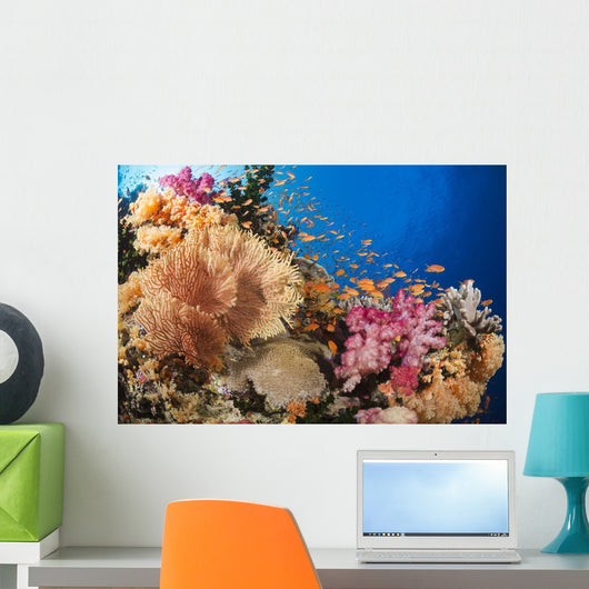 Alconarian and Gorgonian Coral Wall Decal 1