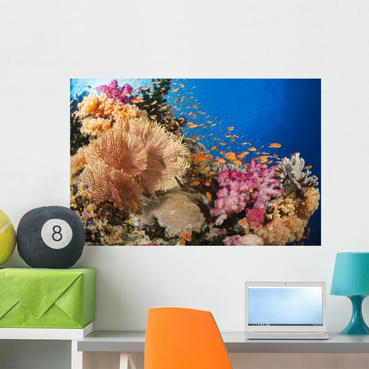 Alconarian and Gorgonian Coral Wall Decal 1