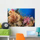 Alconarian and Gorgonian Coral Wall Decal 1