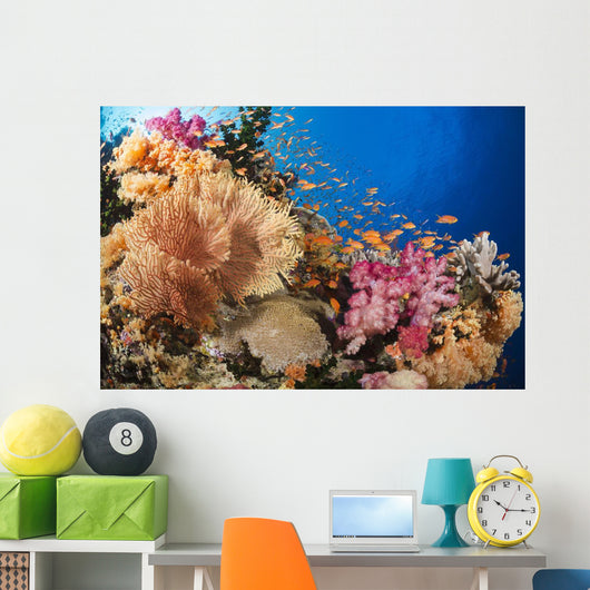 Alconarian and Gorgonian Coral Wall Decal 1