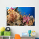 Alconarian and Gorgonian Coral Wall Decal 1