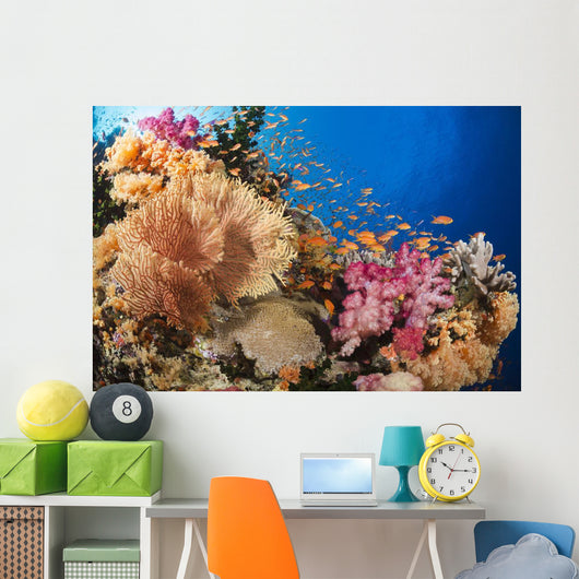 Alconarian and Gorgonian Coral Wall Decal 1