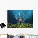 Lionfish Wall Mural