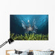 Lionfish Wall Mural