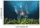 Lionfish Wall Mural