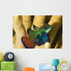 Mandarinfish Wall Mural