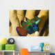 Mandarinfish Wall Mural