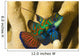Mandarinfish Wall Mural