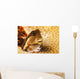 A tiny combtooth blenny, Ecsenius sp, emerges Wall Mural