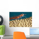 A close look Wall Mural