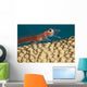 A close look Wall Mural