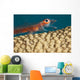 A close look Wall Mural